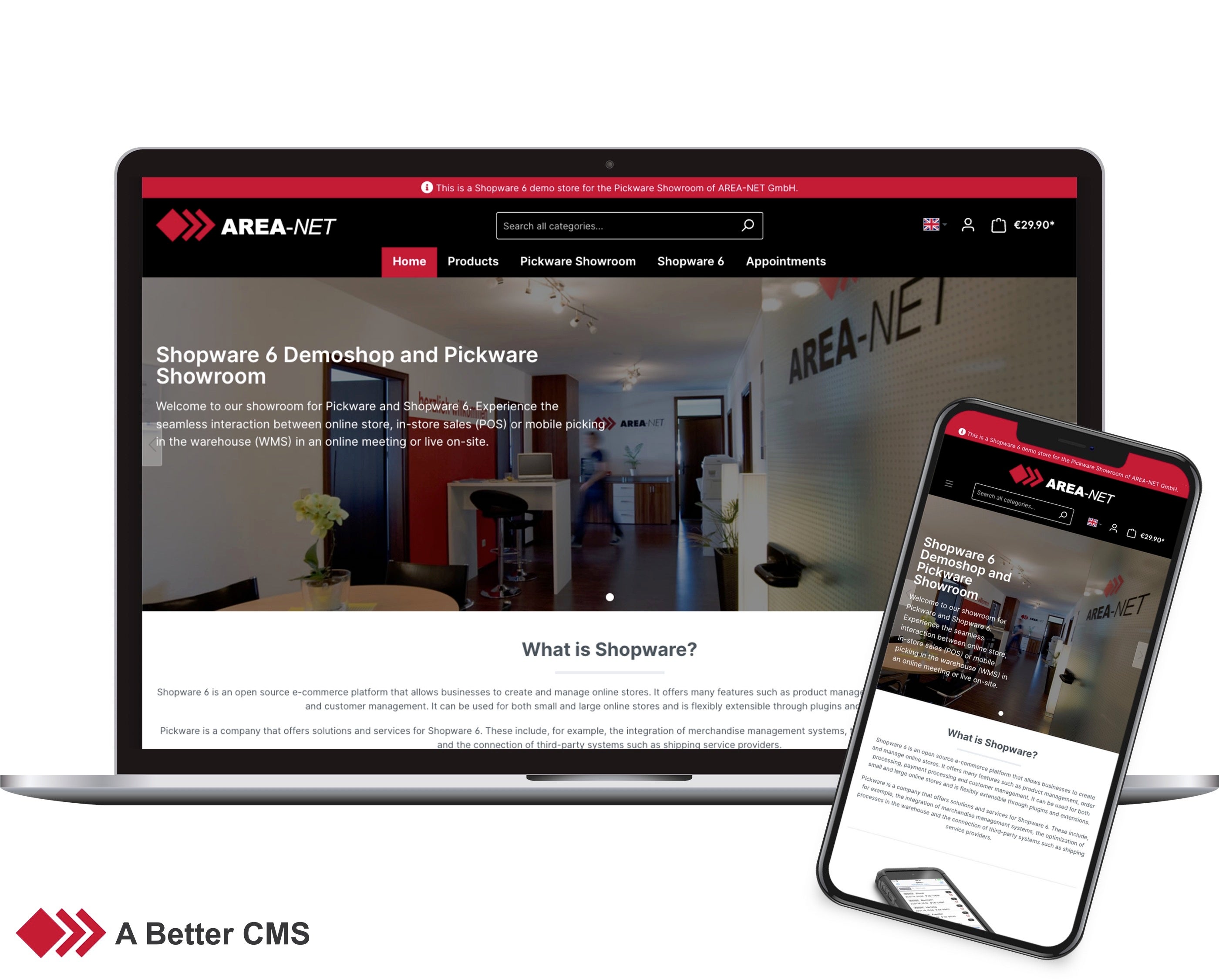 AreanetStandardtheme64