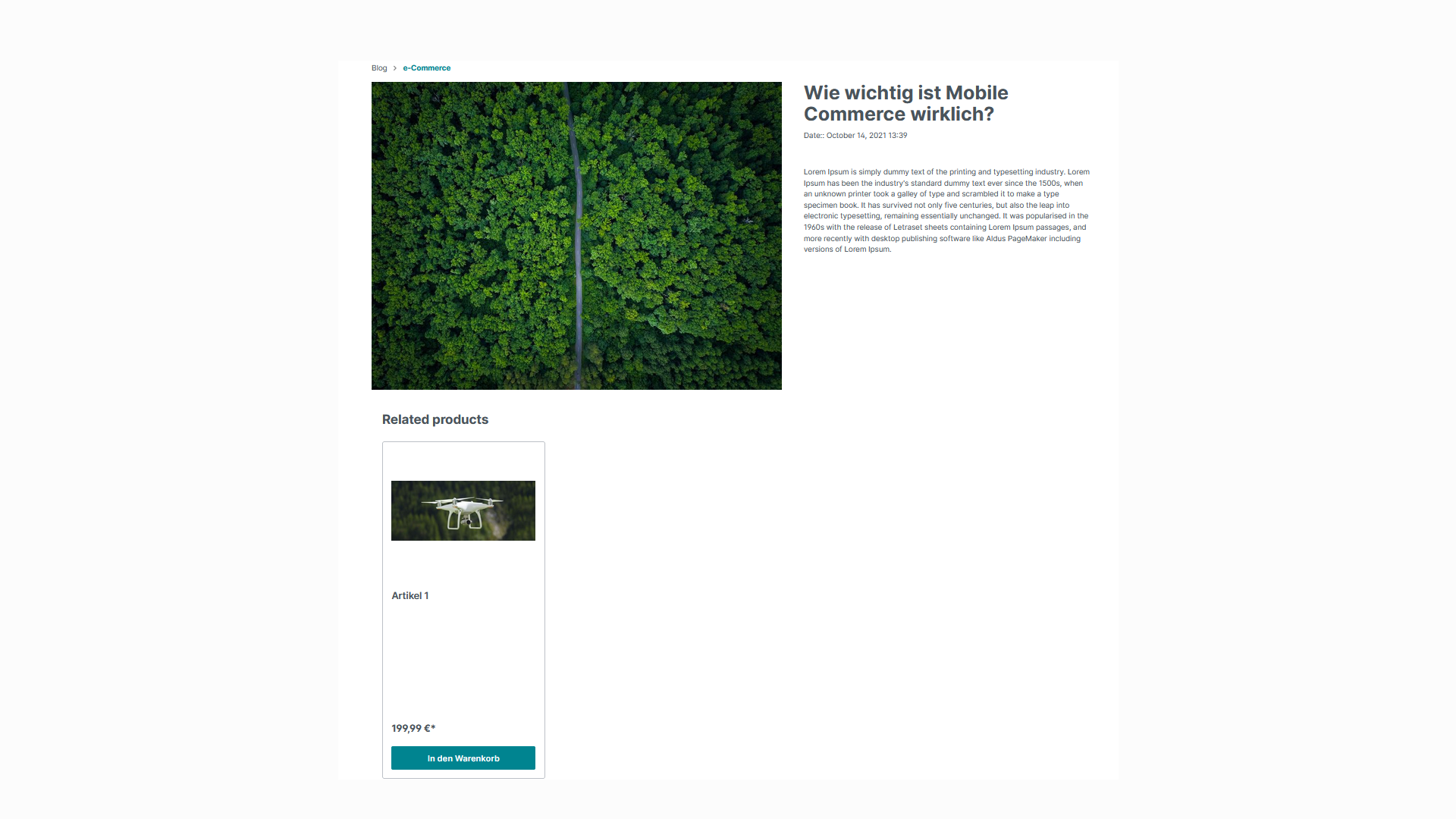 SisiBlog6